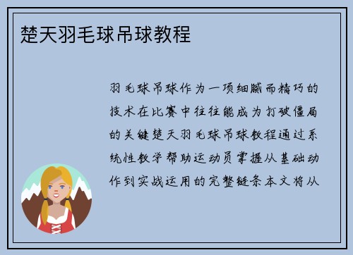 楚天羽毛球吊球教程